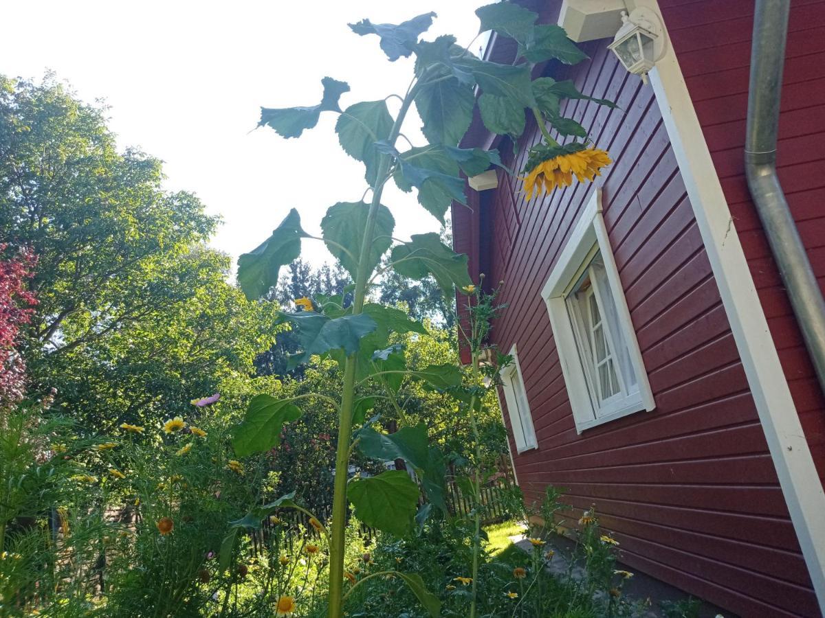 Ferienhaus Am Wald Wippra Luaran gambar